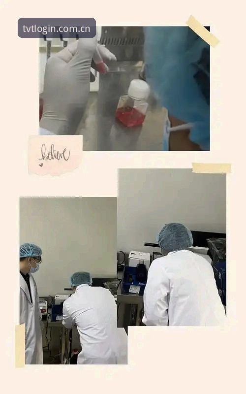 揭秘TVT体育平台：资深用户亲测背后的真实体验与操作细节